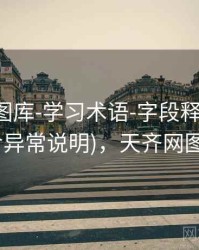 天齐网图库-学习术语-字段释义-按年份(含异常说明)，天齐网图库图