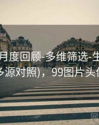 99图库-月度回顾-多维筛选-生成图表(多源对照)，99图片头像