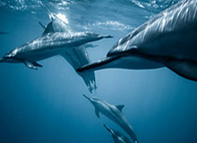 天齐网图库-时间表-专题页，天齐网首页汇总大全