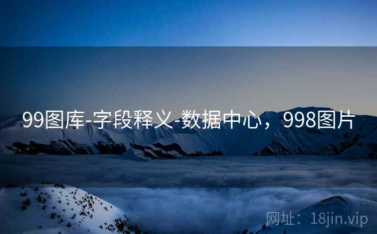 99图库-字段释义-数据中心，998图片